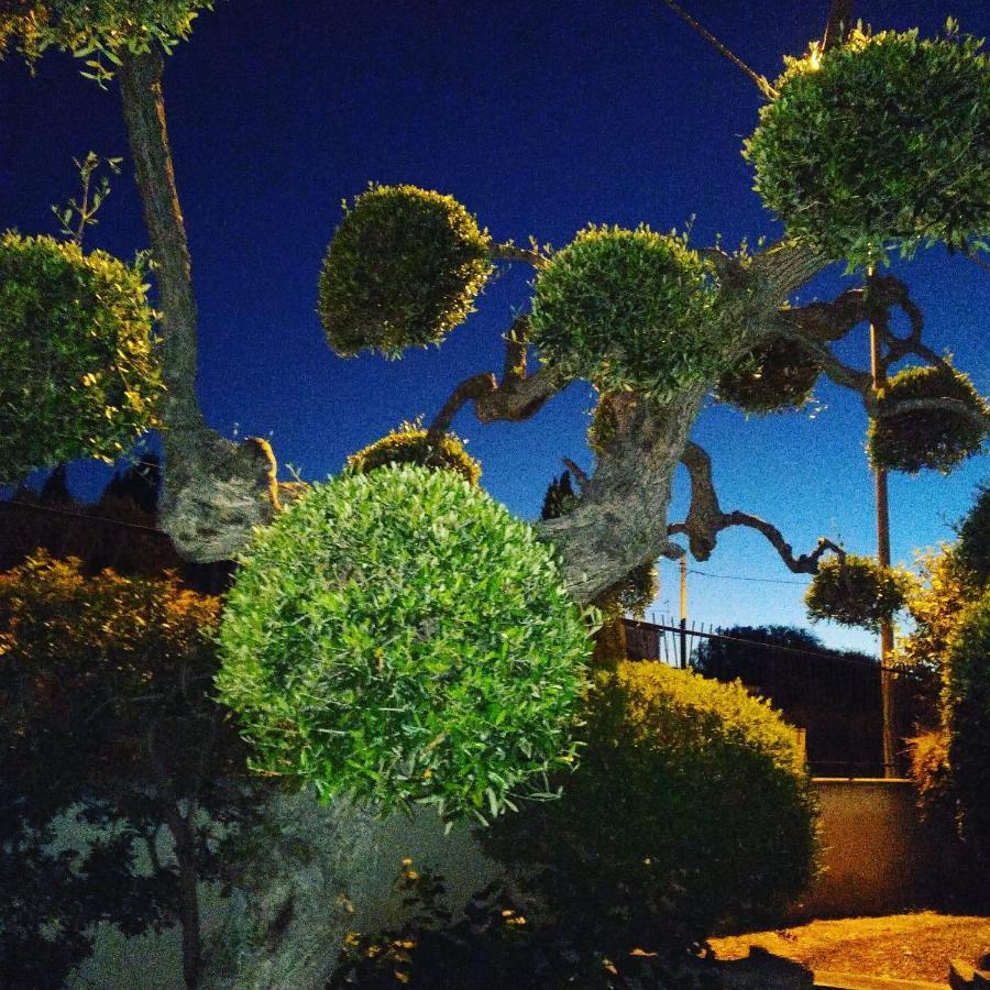 Bnb Villa Lucia Bari Dış mekan fotoğraf