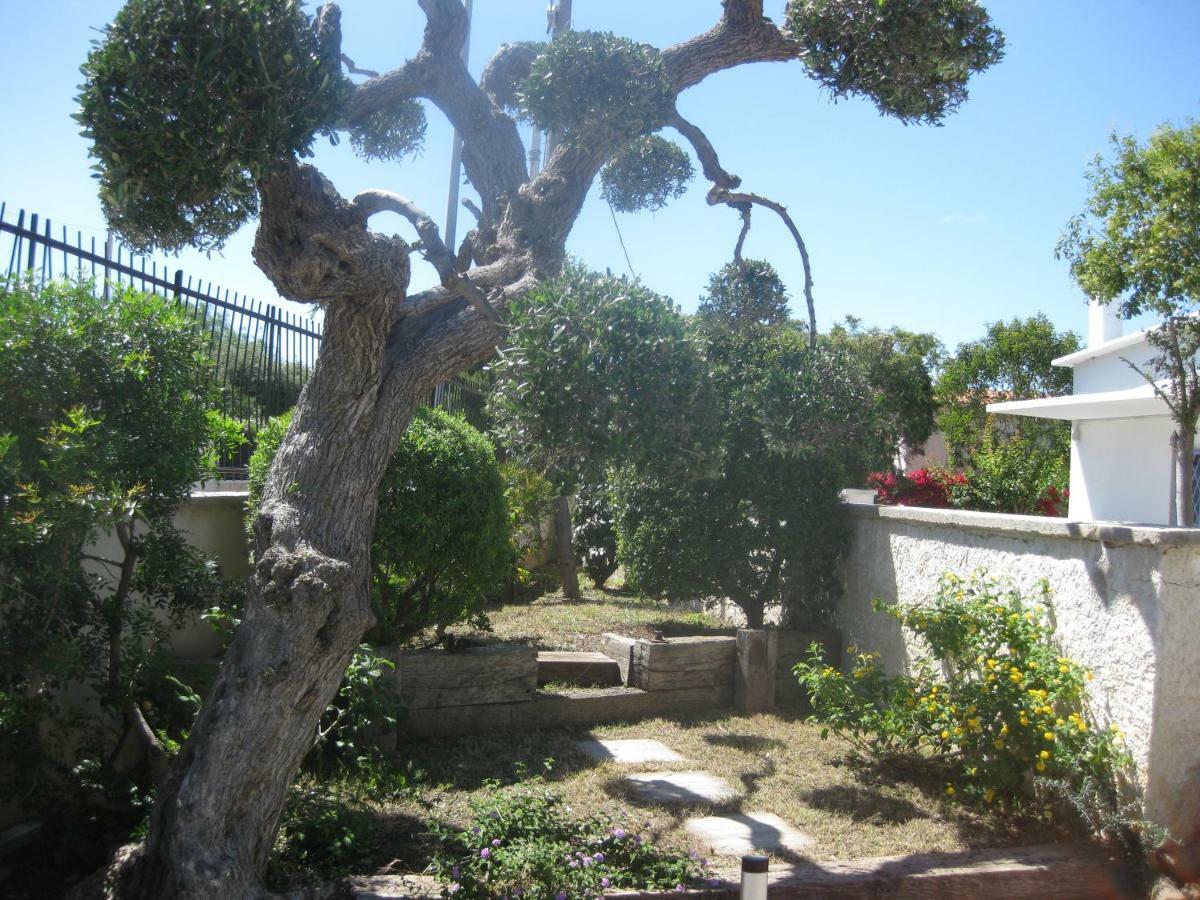Bnb Villa Lucia Bari Dış mekan fotoğraf